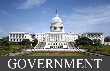 Government